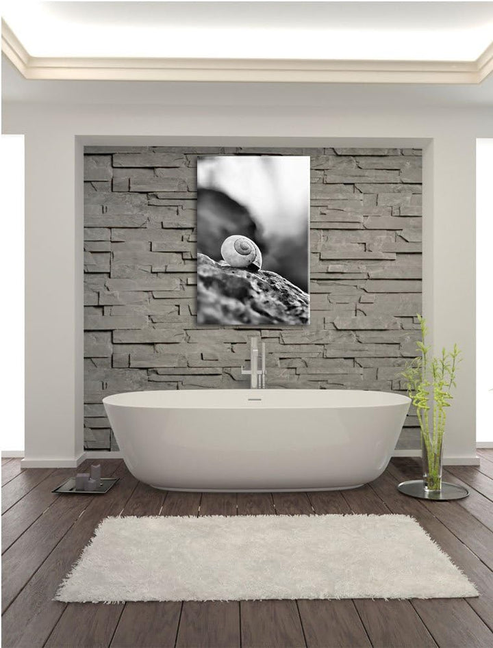 Pixxprint kleine Schnecke auf Stein als Leinwandbild | Grösse: 100x70 cm | Wandbild | Kunstdruck | f