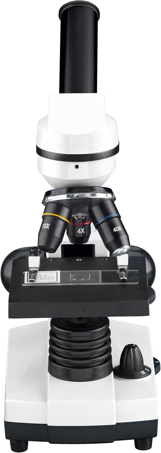 Bresser Biolux SEL Schülermikroskop Set mit Beleuchtung, Smartphoneadapter, Hartschalenkoffer, einem