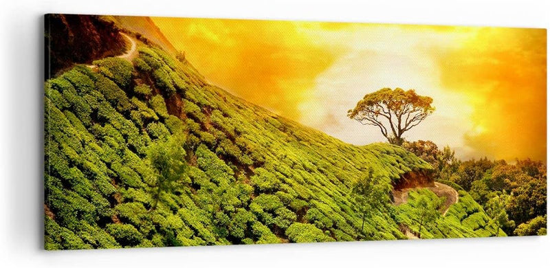 Wandbilder Dekoration Wohnzimmer Berg Baum Pfad Hügel Panorama Bilder auf Leinwand 120x50cm Leinwand