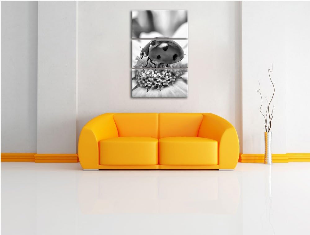 Pixxprint Marienkäfer auf Gänseblümchen / 3-Teilig/Gesamtmass 120cm Leinwandbild bespannt auf Holzra