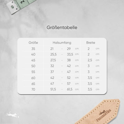 FREUDENTIER® Hundehalsband aus Leder, Made in Holland, gefüttert & super komfortabel, hochwertiges b