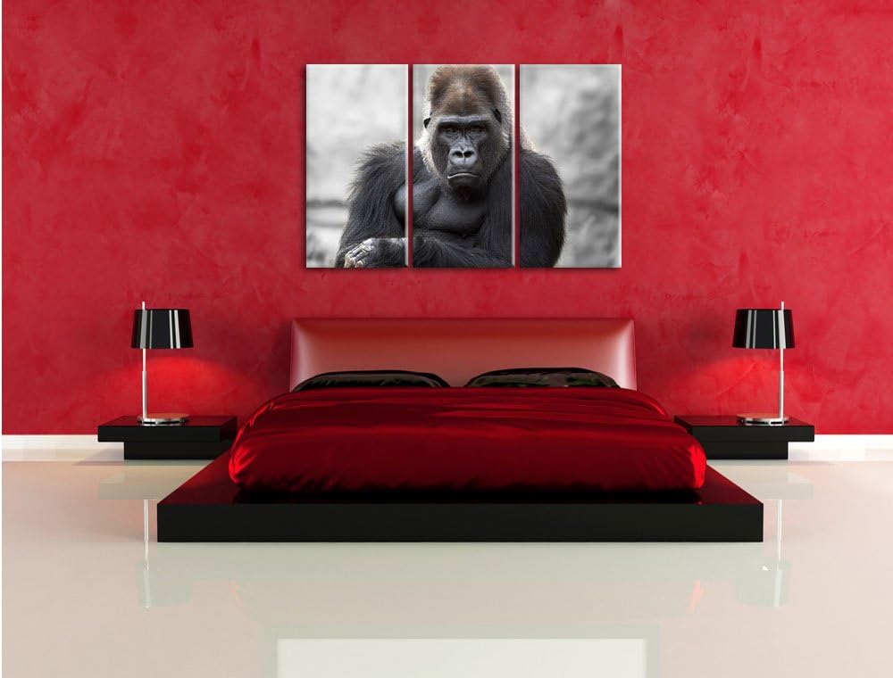 Pixxprint gelangweilter Gorilla als Leinwandbild/Grösse: 3 Teilig (120x80) cm/Wandbild/Kunstdruck/fe