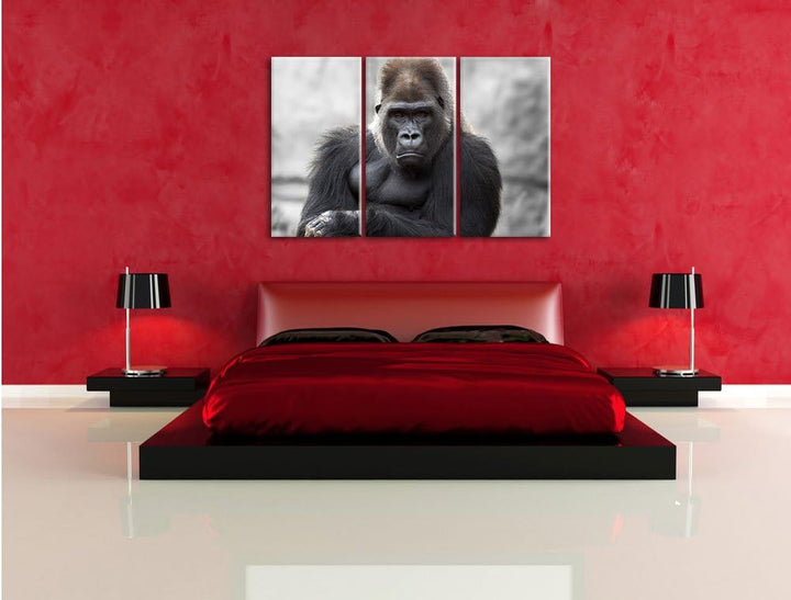 Pixxprint gelangweilter Gorilla als Leinwandbild/Grösse: 3 Teilig (120x80) cm/Wandbild/Kunstdruck/fe