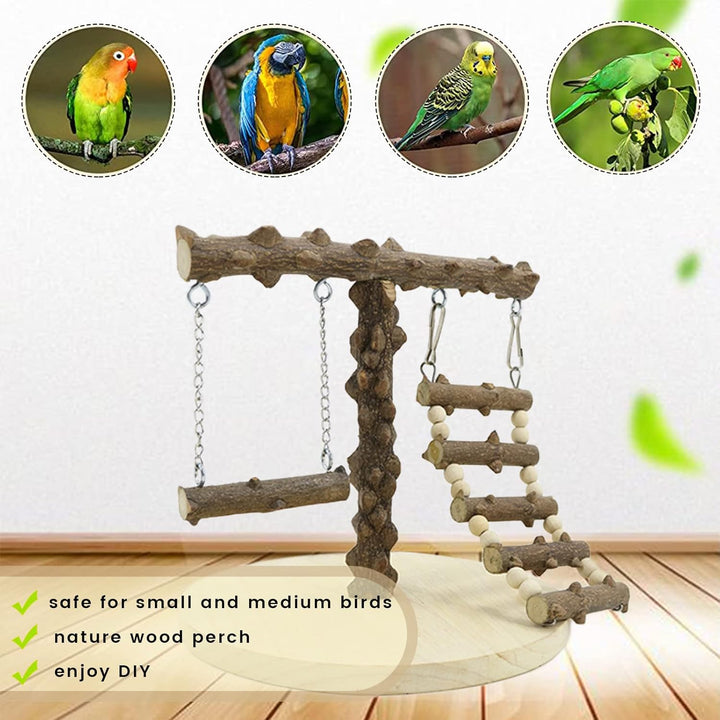 Wellensittich Spielplatz Vogel-Spielplatz mit Spielzeug Leiter Erklimmen Schaukel für Nymphensittich