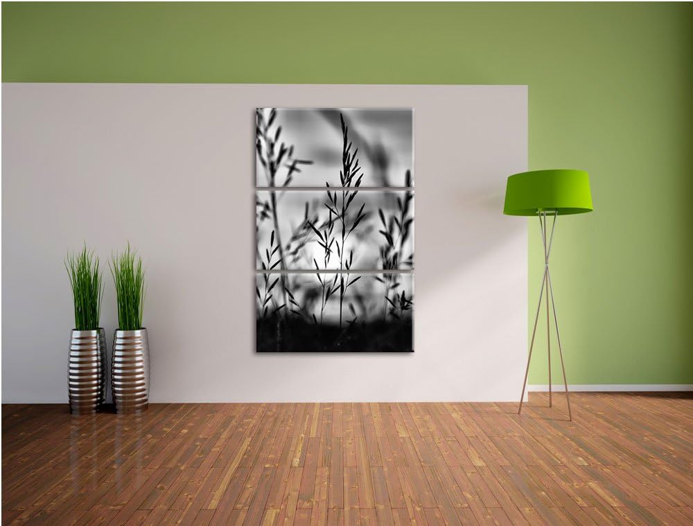 Pixxprint Gras bei Sonnenuntergang als Leinwandbild/Grösse: 3 Teilig (120x80) cm/Wandbild/Kunstdruck
