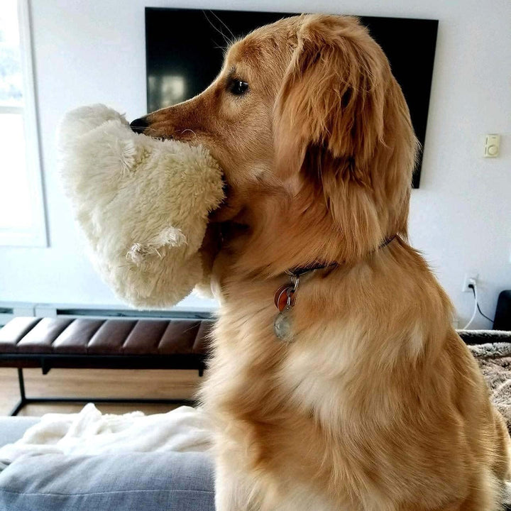 SmartPetLove Welpe Kuscheln - Spielzeug zur Hilfe bei Verhaltensproblemen, Golden