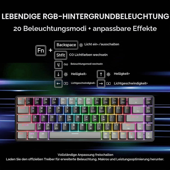 Dierya DK68 Kabellose Gaming Tastatur Bluetooth/2.4GHz/USB-C,68 Tasten RGB Beleuchtung Mechanische T