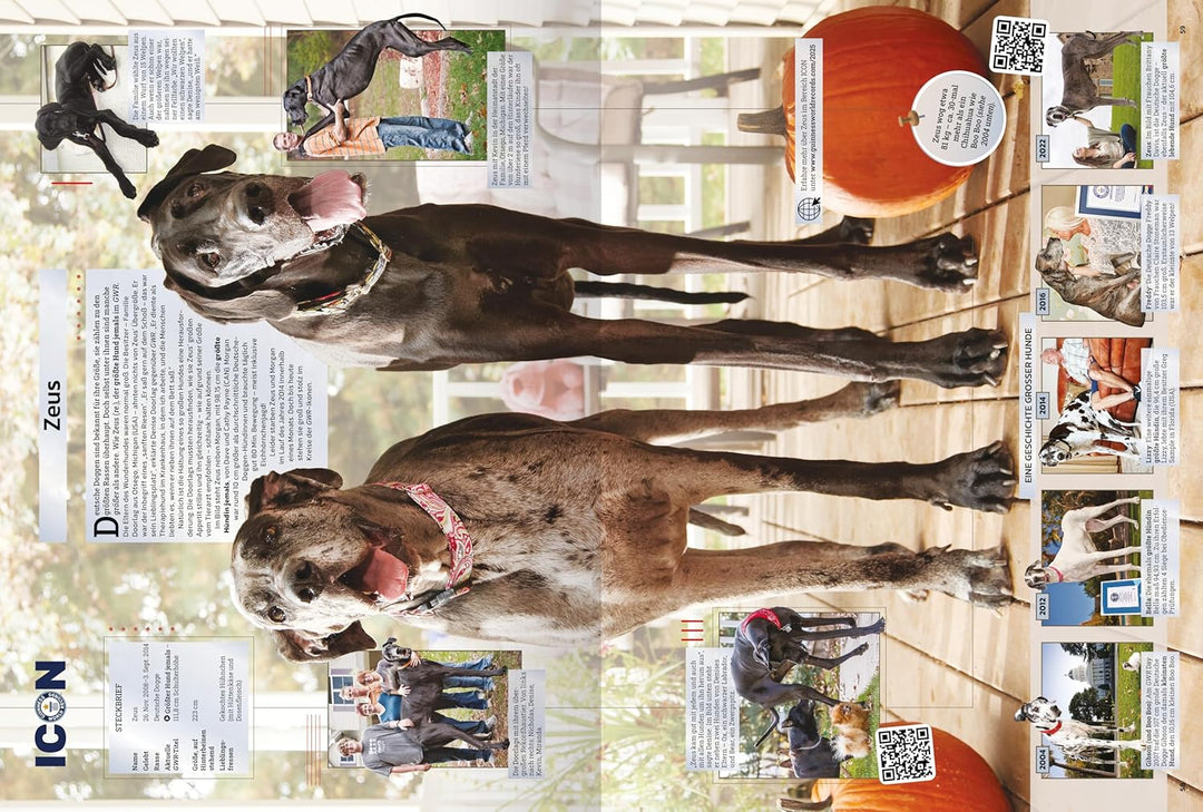GUINNESS WORLD RECORDS 2025: Das beliebte Rekorde-Buch für Kinder und Erwachsene, Kinderbuch ab 8 Ja