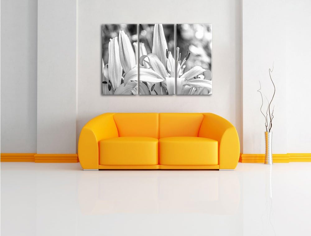Pixxprint schöne orangene Lilien Kunst B&W als Leinwandbild/Grösse: 3 Teilig (120x80) / Wandbild/Kun