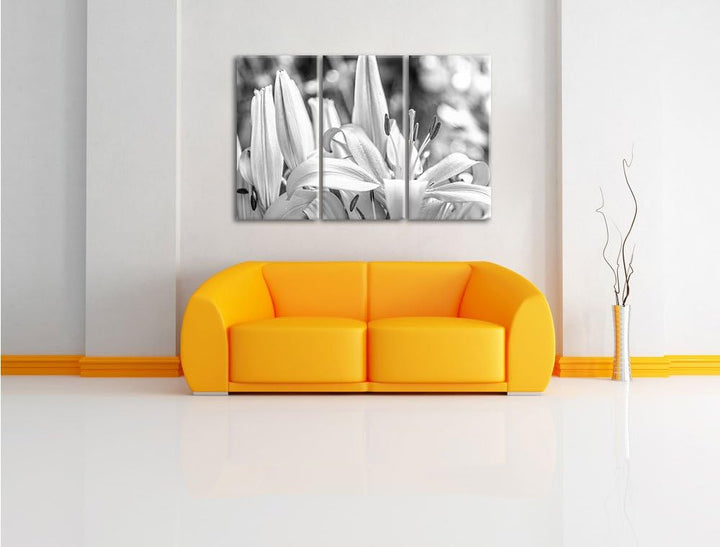 Pixxprint schöne orangene Lilien Kunst B&W als Leinwandbild/Grösse: 3 Teilig (120x80) / Wandbild/Kun