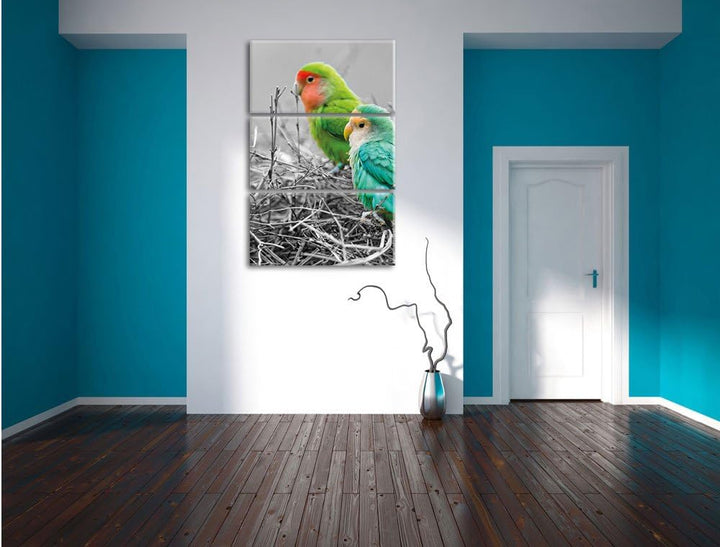 kleine Papageien im Nest schwarz/weiss 3-Teiler Leinwandbild 120x80 Bild auf Leinwand