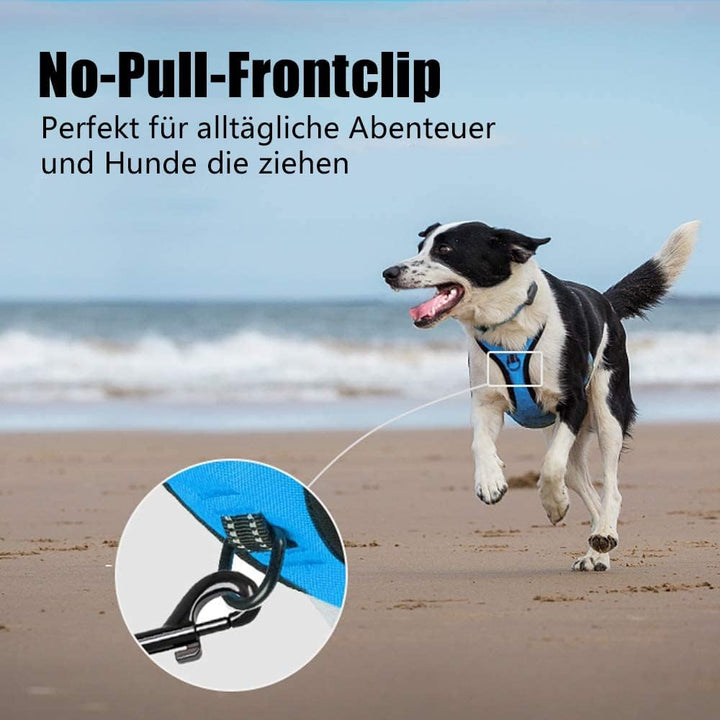 PoyPet No Pull Hundegeschirr, reflektierendes Westengeschirr mit 2 Leinenbefestigungen und einfachem