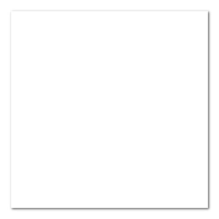Canson Mi-Teintes - Kuenstlerkarton - 40,5 cm x 51 cm - Weiss