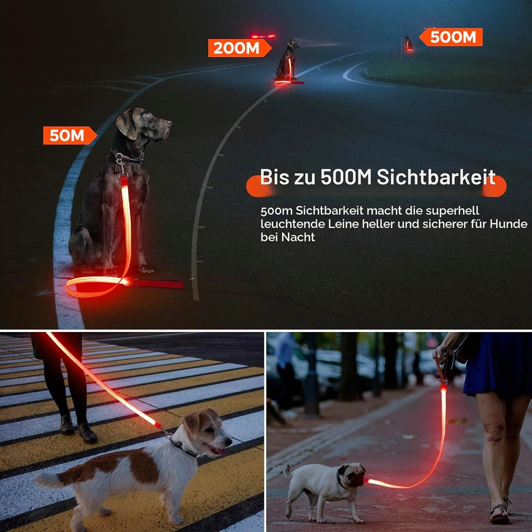 ChalkLit LED Hundeleine, Beleuchtete Hundeleine über USB Wiederaufladbar, 1,2 m, Weich Wasserdicht R