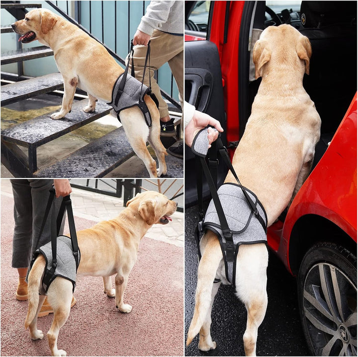 Dotoner Hundehebegeschirr, Hundestützgeschirr für die Hinterbeine, weiche Hundestützschlaufe für ver