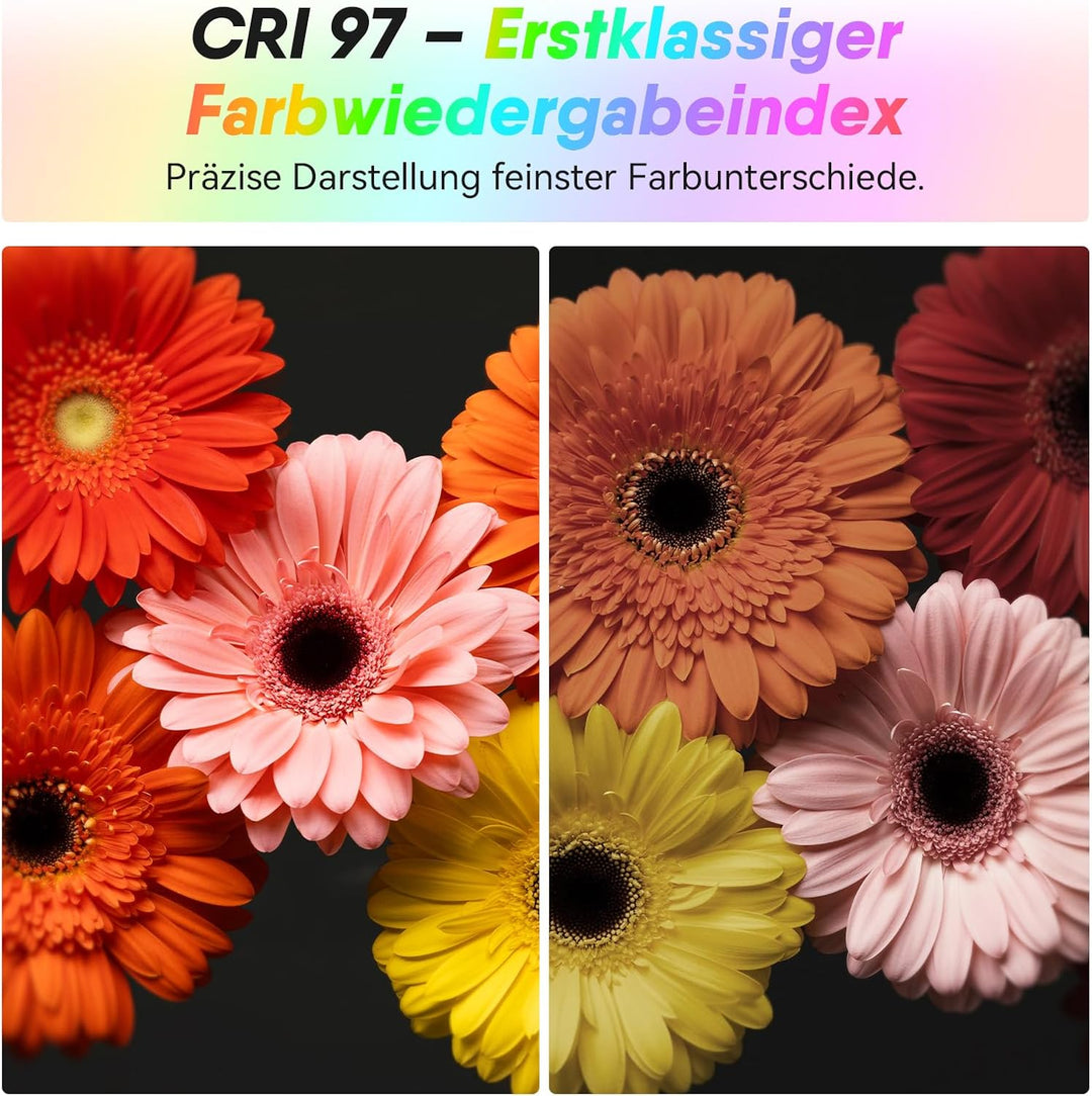 Moman Kleines LED-Kameralicht 40W, Full RGB Videoleuchten mit Diffusor, APP-Steuerung, 2500-9000K, C