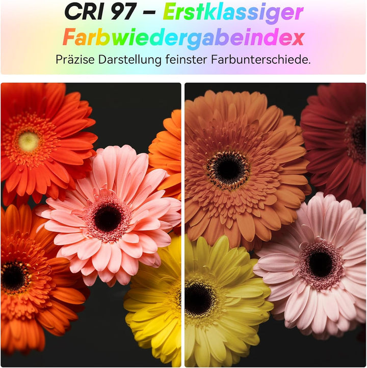 Moman Kleines LED-Kameralicht 40W, Full RGB Videoleuchten mit Diffusor, APP-Steuerung, 2500-9000K, C