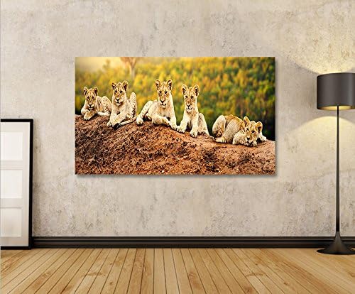 islandburner Bild Bilder auf Leinwand Löwen Kinder Babies Raubkatze 1p XXL Poster Leinwandbild Wandb