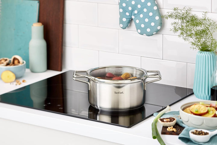 Tefal H85244 Nordica Kochtopf 20 cm mit Glasdeckel | Doppelgriffe | Edelstahl-Topf | alle Herdarten