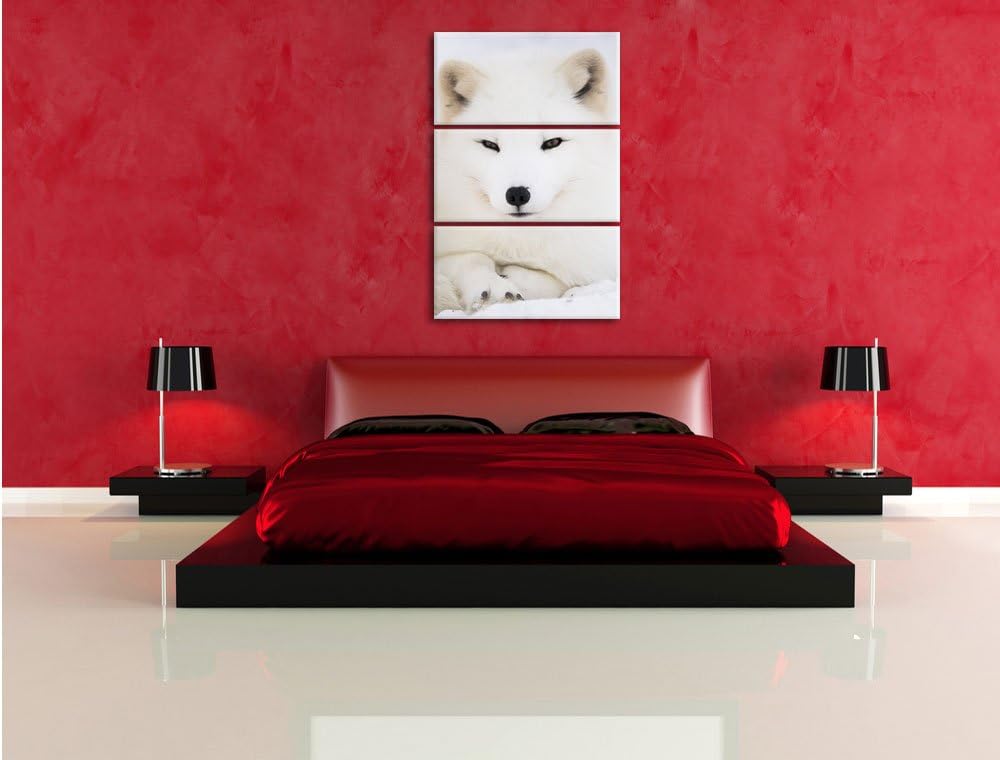 Pixxprint Weisser Fuchs als Leinwandbild/Grösse: 3 Teilig (120x80) cm/Wandbild/Kunstdruck/fertig bes