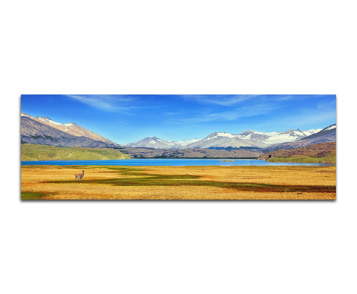 Paul Sinus Art Panoramabild auf Leinwand und Keilrahmen 150x50cm Patagonien Nationalpark Berge See W