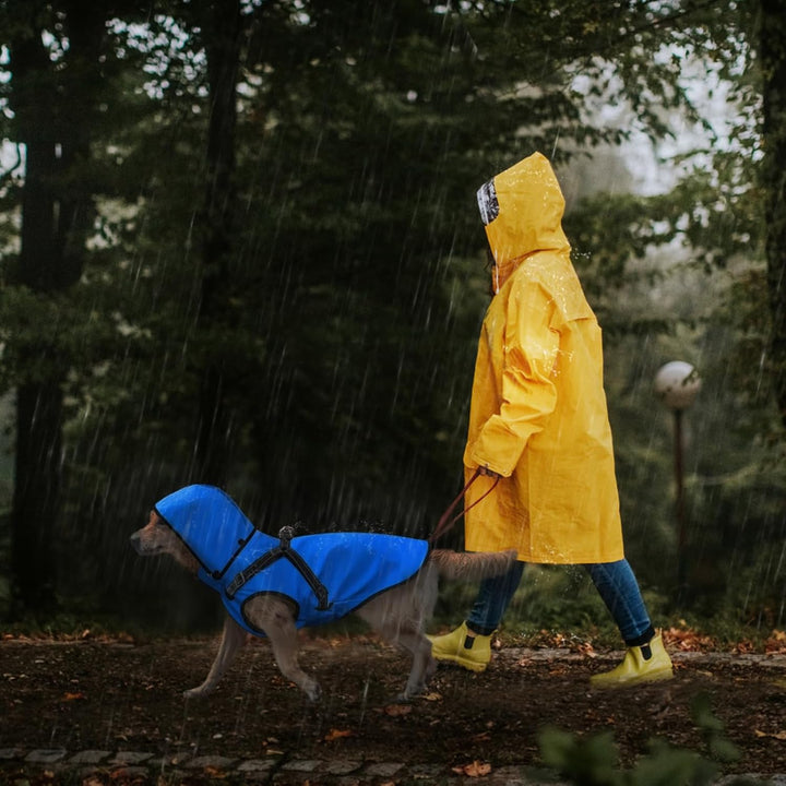 Mosucoirl Hunde Regenmantel Wasserdichter Hunde Kapuzenpullover Reflektierender Hund Regenmantel mit