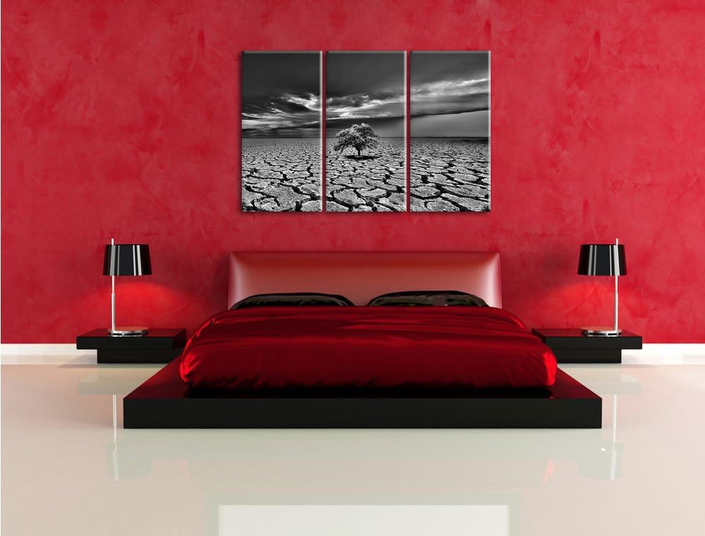 Pixxprint Monocrome, Der letzte Baum im ausgetrockneten Boden 3-Teiler Leinwandbild 120x80 Bild auf