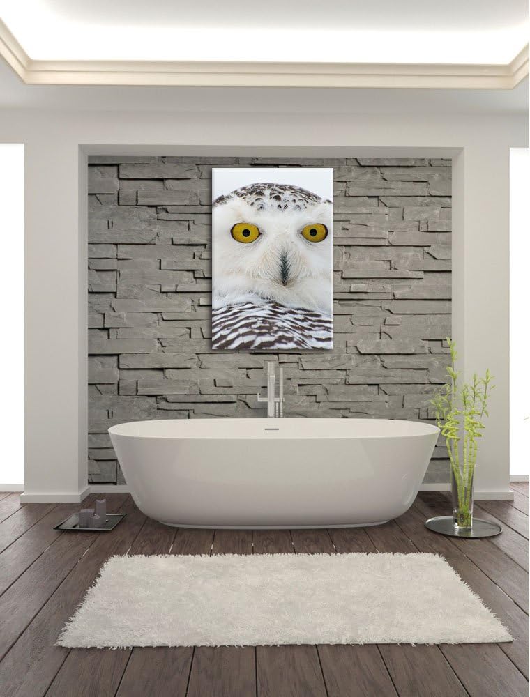 Pixxprint Schnee-Eule, Format: 100x70 auf Leinwand, XXL riesige Bilder fertig gerahmt mit Keilrahmen