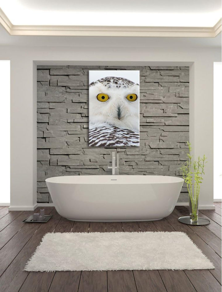 Pixxprint Schnee-Eule, Format: 100x70 auf Leinwand, XXL riesige Bilder fertig gerahmt mit Keilrahmen