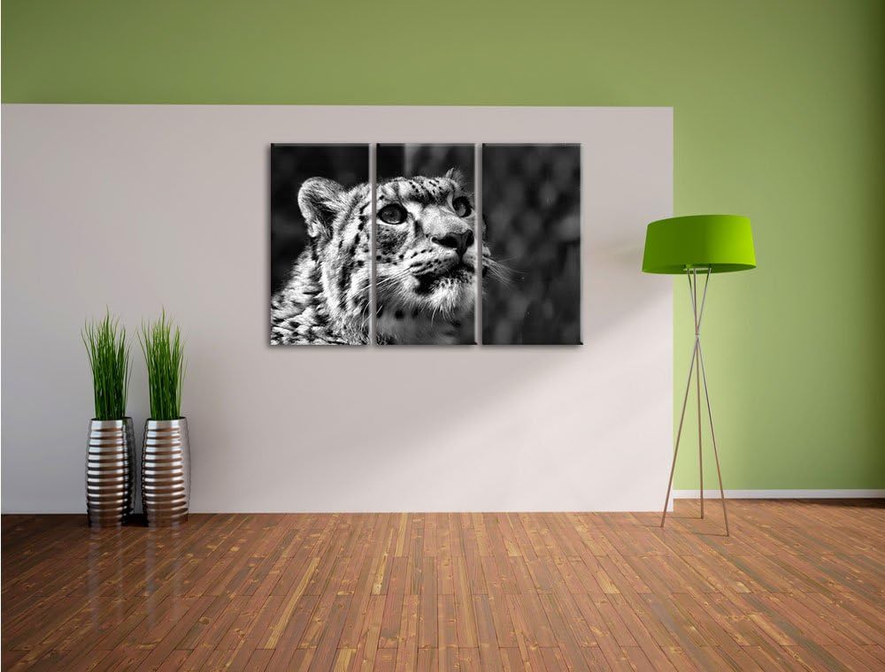 Pixxprint Leopard als Leinwandbild/Grösse: 3 Teilig (120x80) cm/Wandbild/Kunstdruck/fertig bespannt