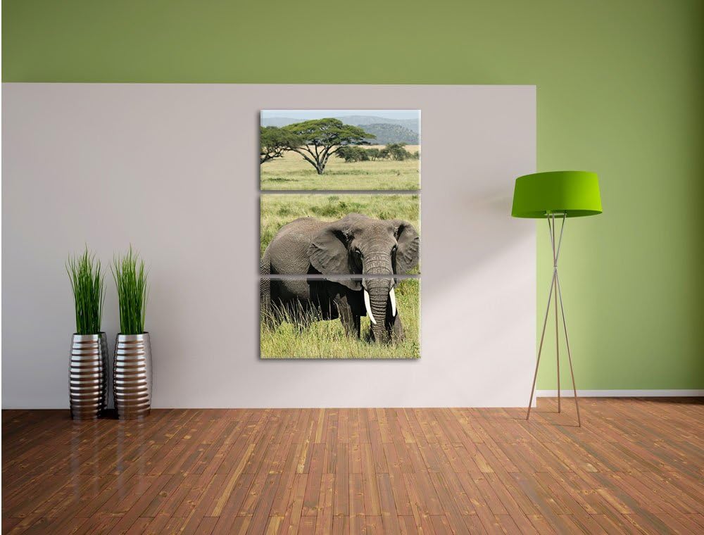 Pixxprint Elefant in der Savanne als Leinwandbild/Grösse: 3 Teilig (120x80) cm/Wandbild/Kunstdruck/f