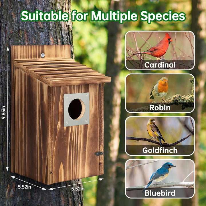 Vogelhaus für draussen, Holz-Blauvogelhaus, mit Raubtierschutz, Vogel-Nistkasten, Wildvögelbeobachtu