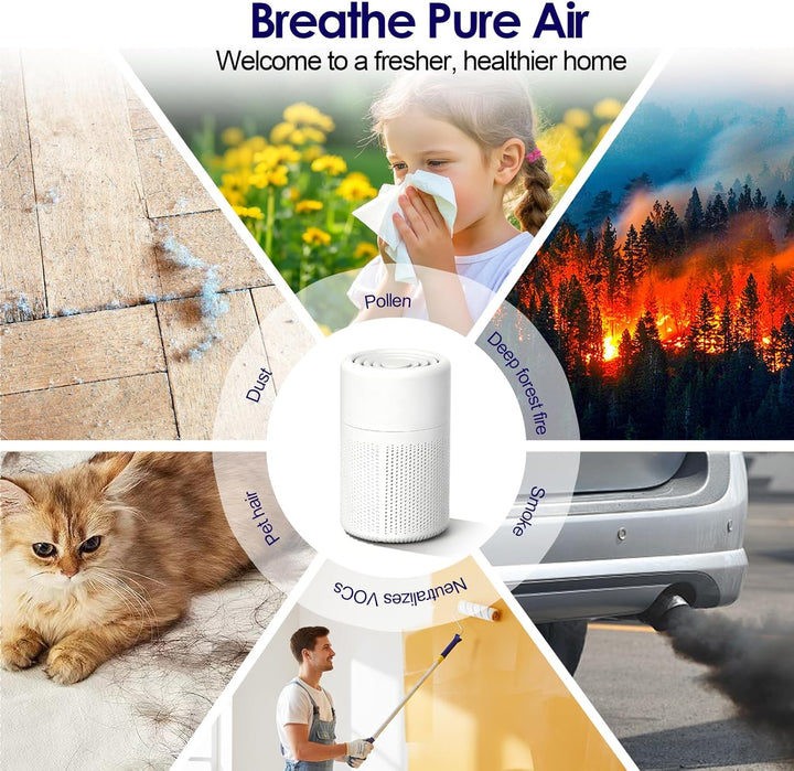 Luftreiniger Mit HEPA-Filter &amp; Aromatherapie, Gegen Schimmel Staub Pollen Tierhaare, Energiesparend,