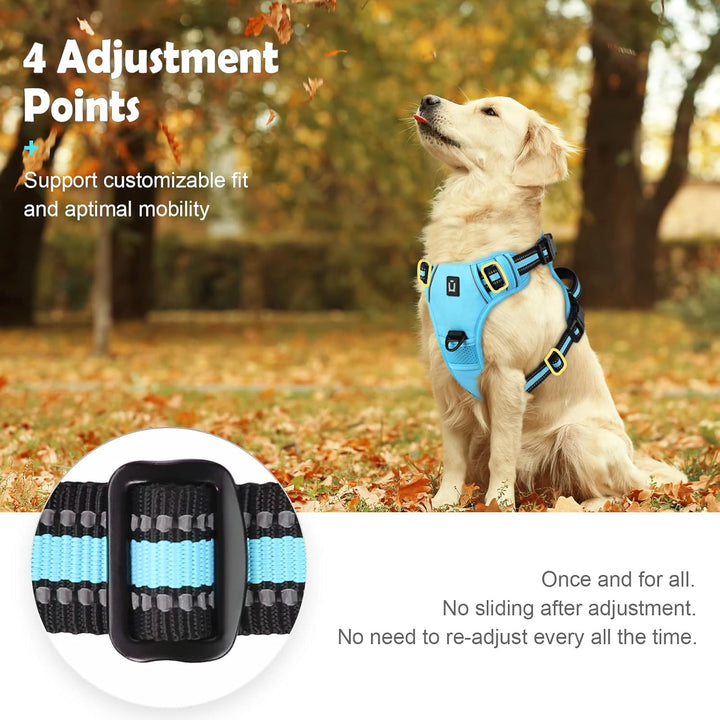 No-Pull Hundegeschirr, Brustgeschirr für kleine bis mittelgrosse Hunde, Weich, Atmungsaktiv, Einstel