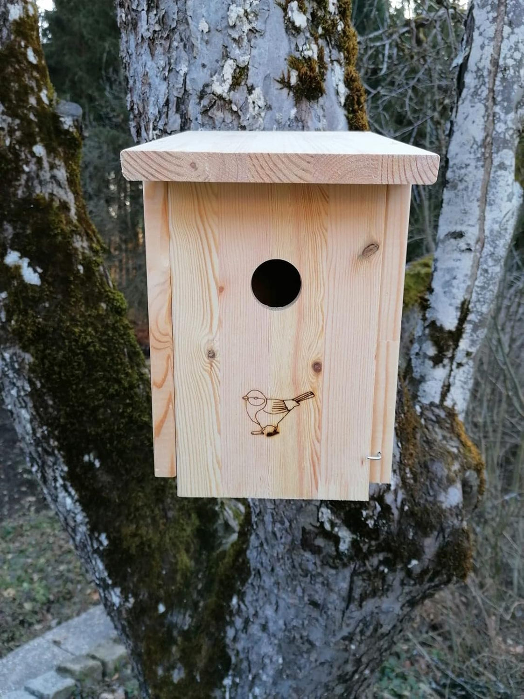 Nistkasten Bausatz (N46) Vogelhaus für Star - aus witterungsbeständigen 20mm starkem Kiefernholz mit