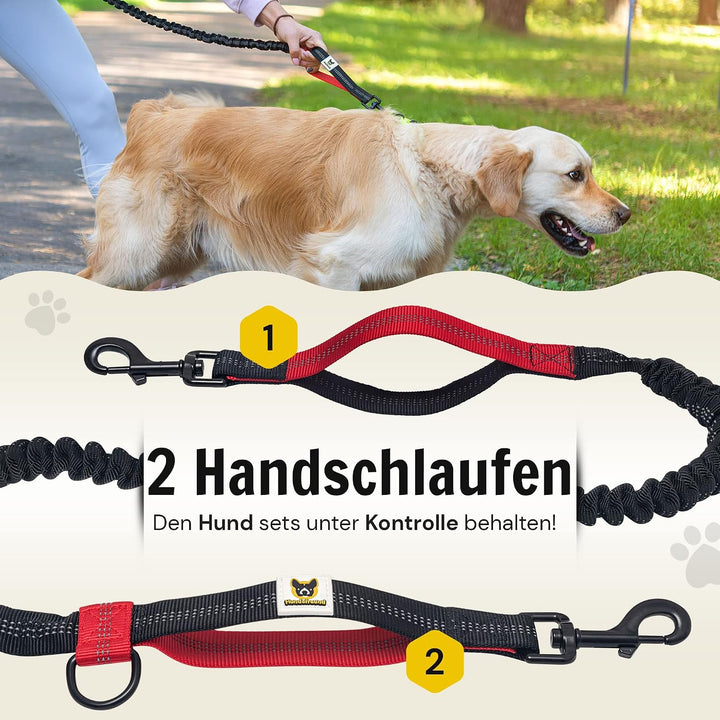 Hundefreund Joggingleine mit Bauchgurt Rot | Laufleine Elastisch Ruckdämpfend Reflektierend für mitt