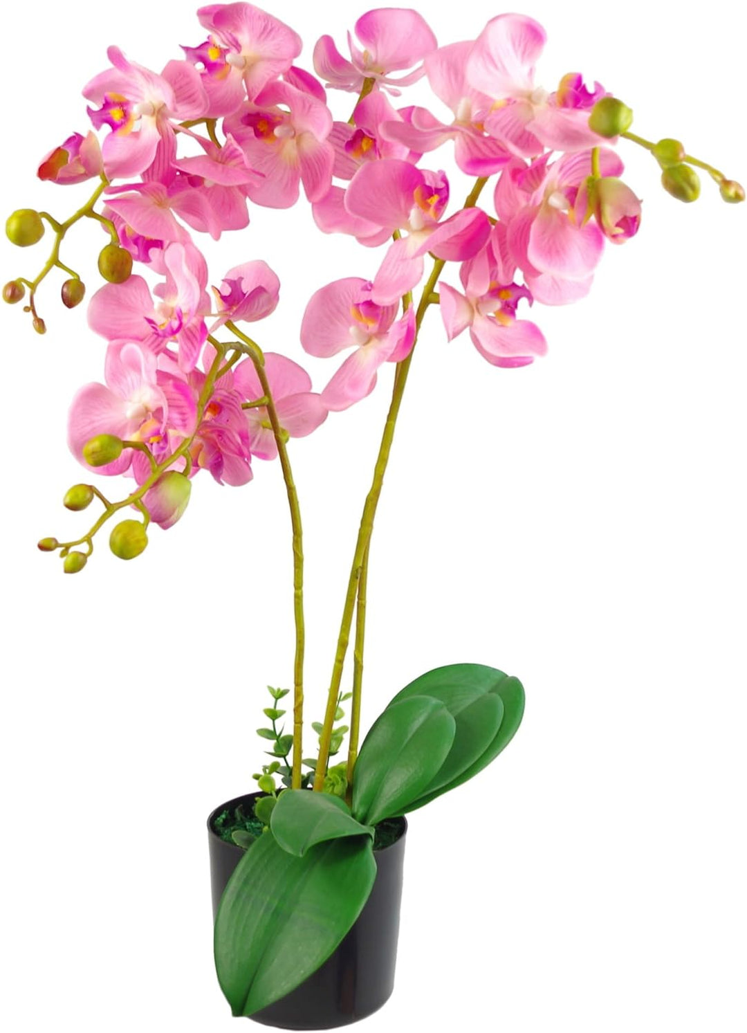 Leaf Kunstpflanze Orchideenblatt, realistisch, 60 cm, Rosa 60cm Large Pink 60 cm, 60cm Large Pink 60