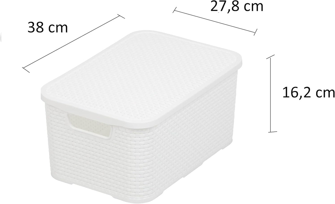 BranQ - Home essential Korb mit Deckel in Rattan Design 2er Set Grösse M 19 l, BPA-frei Kunststoff P