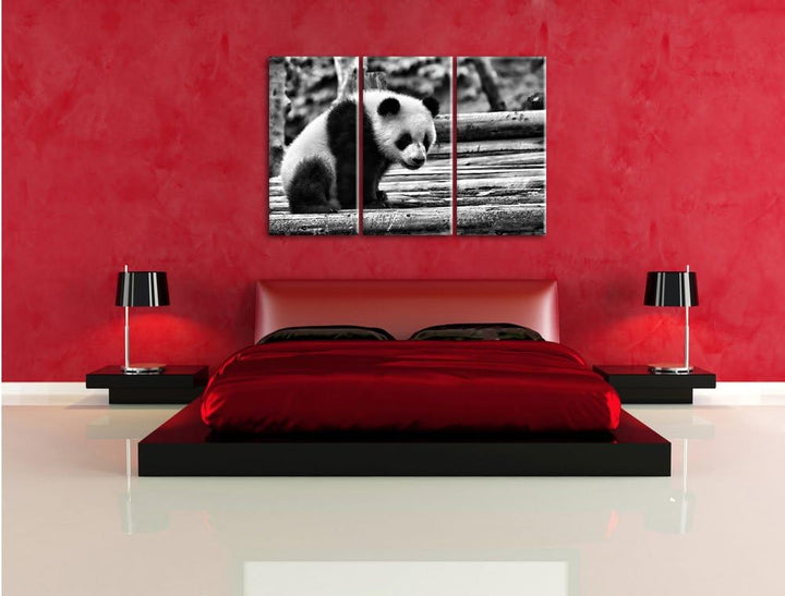 Pixxprint Panda auf Holzstämmen als Leinwandbild/Grösse: 3 Teilig (120x80 cm) cm/Wandbild/Kunstdruck