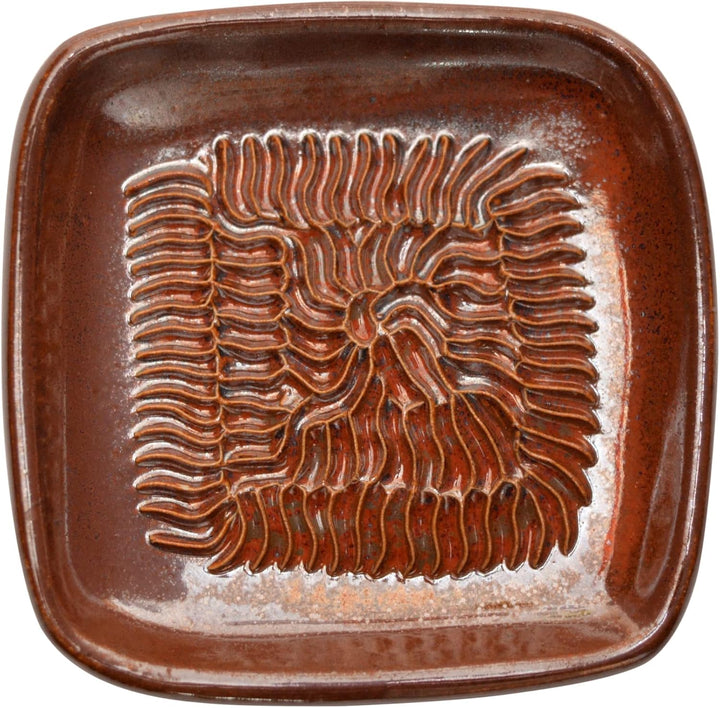 Ceramico Reibeteller & Backpinsel mit Naturborsten, Set aus Keramik für Knoblauch, Ingwer, Muskat, H