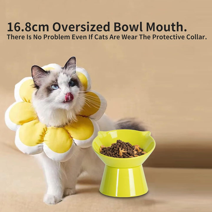 Futternapf Katze,Katzennapf Erhöht mit 15° Neigung Fressnapf Katze,Anti-Erbrechen Katzennäpfe für Fu