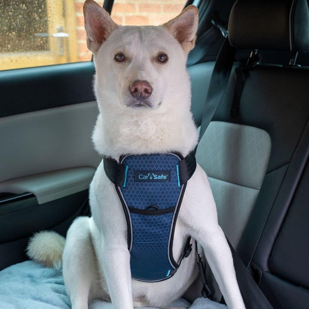 CarSafe Crash-getestetes Hunde Sicherheitsgeschirr, Crashtest-geprüft bis zu 32 kg / 70 lbs, sichert