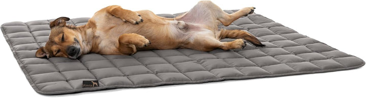Doctor Bark Pointer | Hundedecke, gepolsterte Liegedecke, Hundematte waschbar (M - 80x60 cm, Hellgra