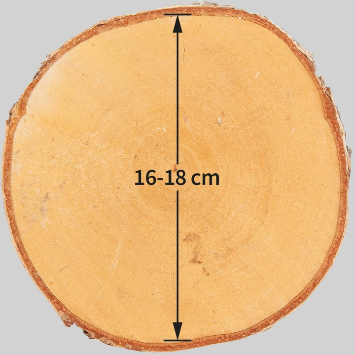 Holzscheiben in 16-18 cm Durchmesser für DIY Basteln und Dekorieren - 10 Stück runde Birkenholz Baum
