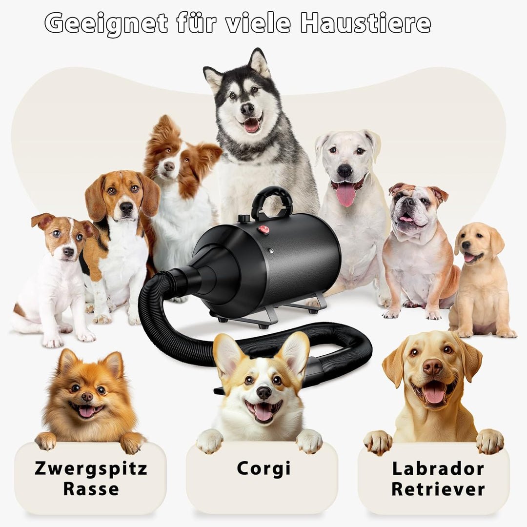 Hundefön Blower Sehr Leise 3000W Einstellbare Geschwindigkeit, Hundepflege-Trockner-Gebläse mit 4 ve