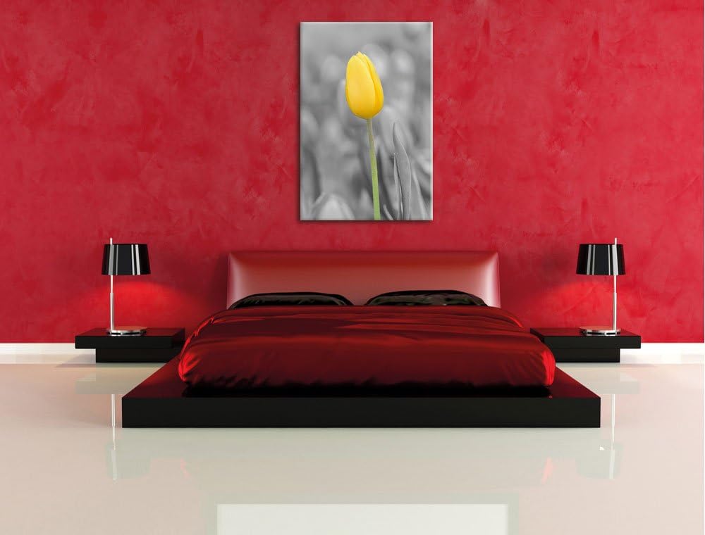 Pixxprint Gelbes Tulpenmeer schwarz/weiss als Leinwandbild/Grösse: 120x80 cm/Wandbild/Kunstdruck/fer