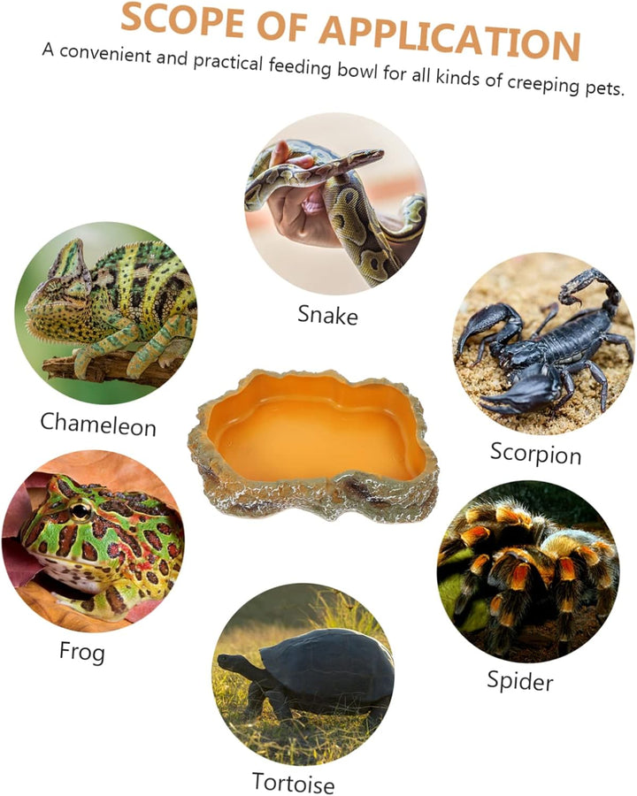 POPETPOP Schildkröte Wasserfütterung Reptil Wassernapf Futternapf Becken Eidechse Futternapf Terrari