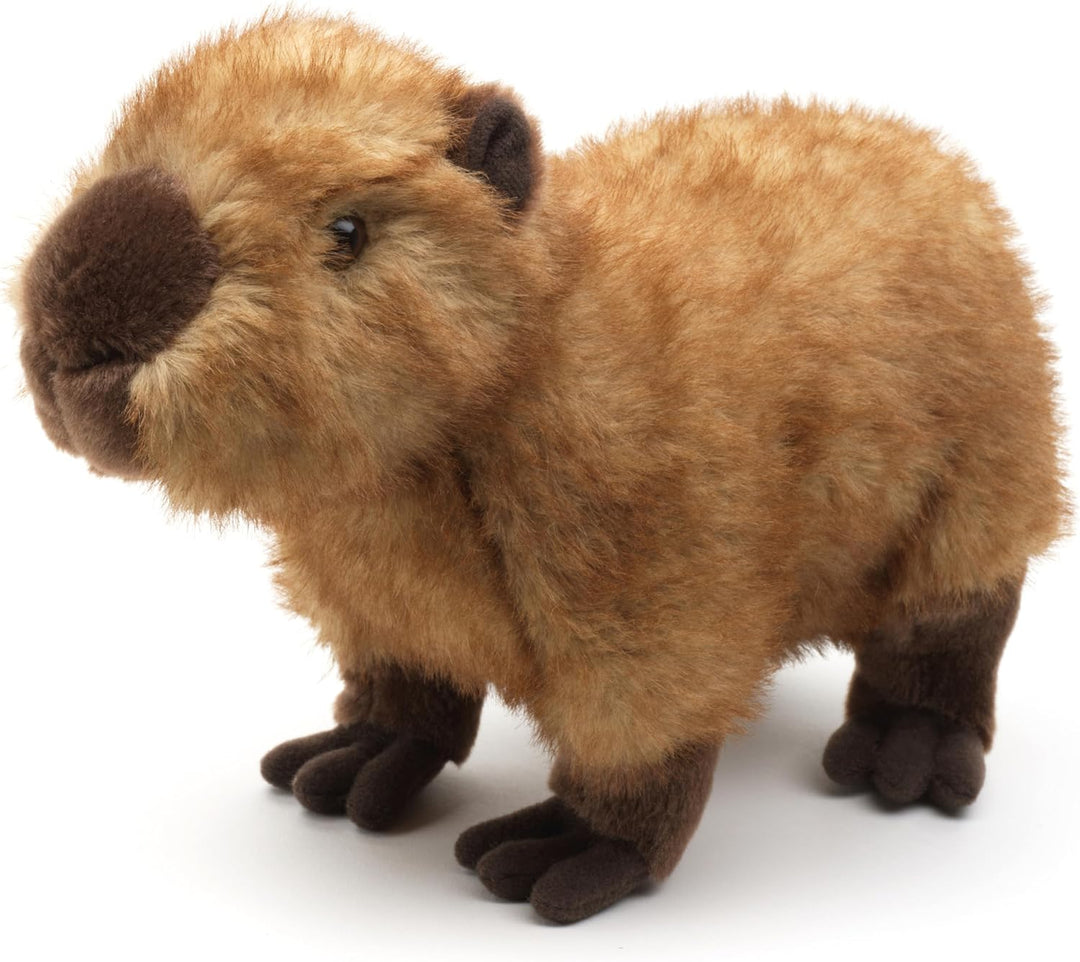 Uni-Toys - Capybara, stehend - 27 cm (Länge) - Wasserschwein, Meerschweinchen - Plüschtier, Kuschelt
