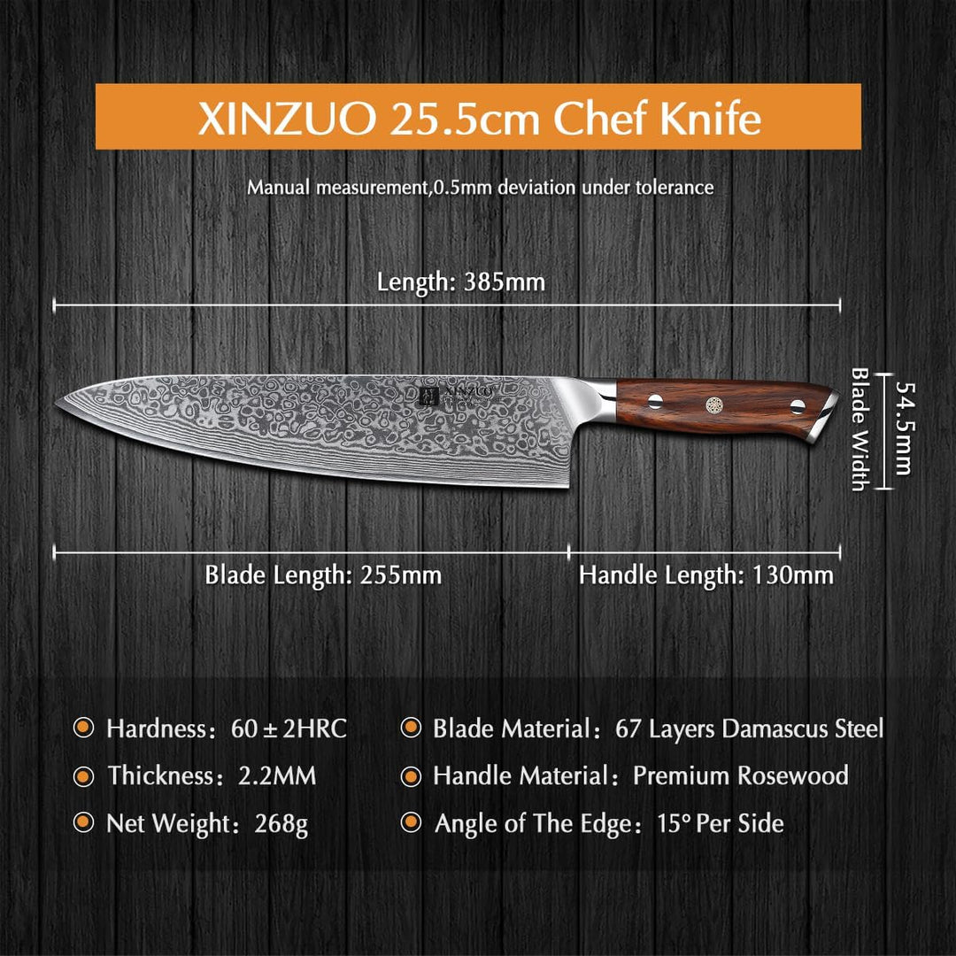 XINZUO Damaststahl Kochmesser 25.5cm, Handgeschmiedet scharf Küchenmesser 67 Schichten Damaststahl p