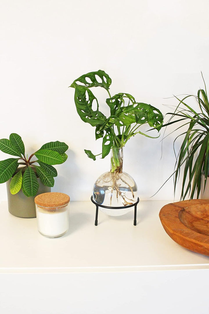 Winkee - Hydrovase Flora 1,5 L | Blumenvase mit Metall-Ständer | Table Planter | Moderne Deko | Glas